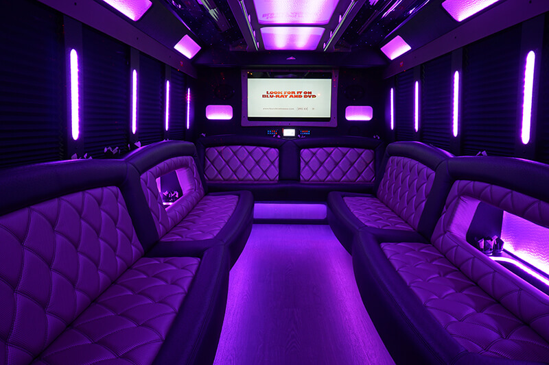 28-passenger party bus