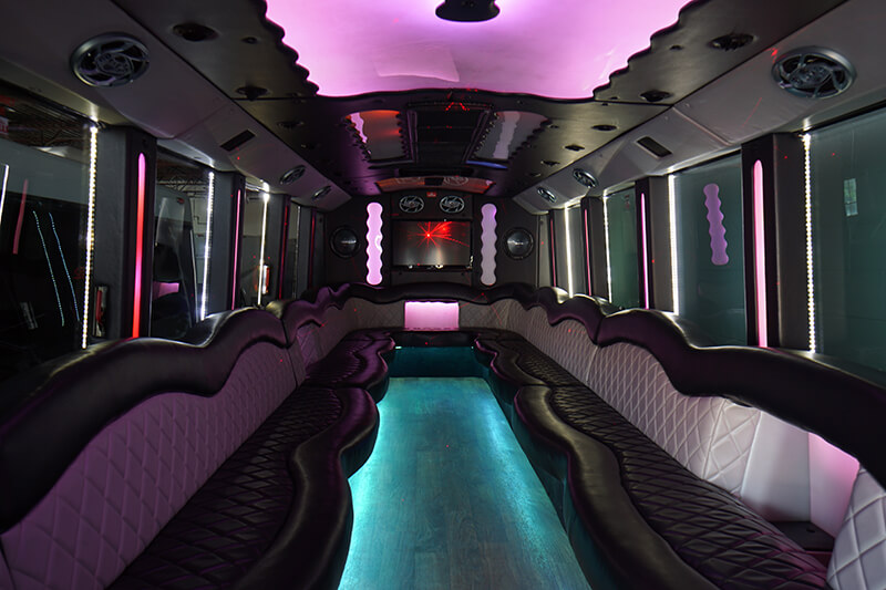 Limo bus fiber optic lighting